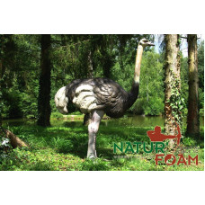 Natur Foam OSTRICH